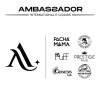 Ambassador